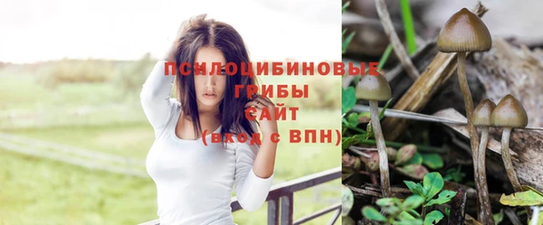 МДМА Нефтекумск