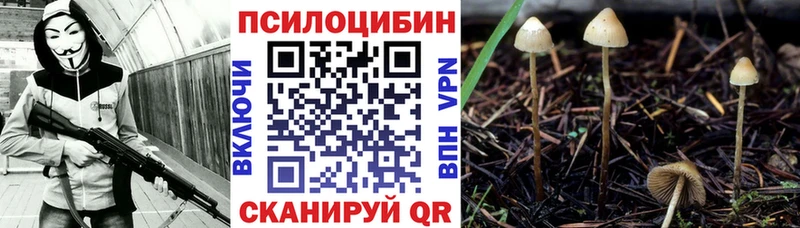 купить закладку  kraken ONION  Псилоцибиновые грибы прущие грибы  Александровск 