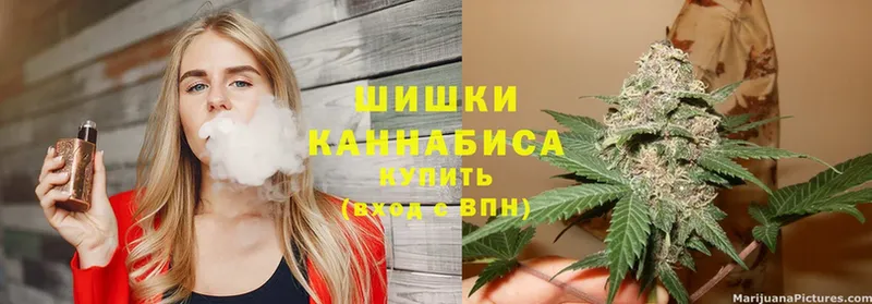 кракен зеркало  Александровск  Марихуана White Widow  как найти закладки 